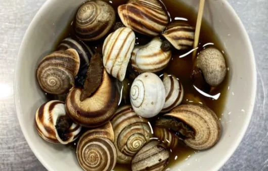 Escargot marocain