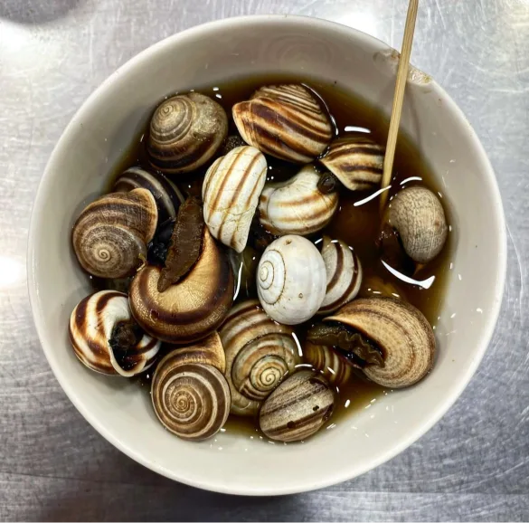 Escargot marocain